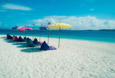 Menikmati Keindahan Pulau Beralas Pasir, Bintan: Surga Olahraga Air yang Menawan