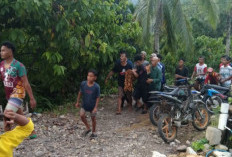 Seorang Pria di Pekon Tembelang Hanyut di Way Semangka dan Ditemukan Meninggal Dunia