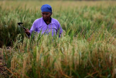OJK Ungkap Tantangan Terbesar Bursa Saham RI