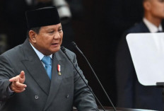 Presiden Prabowo Klaim Kuasai 3,1 Juta Hektare Lahan Sawit Ilegal dengan Bantuan TNI