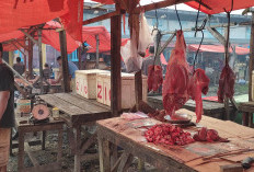 Harga Daging Sapi Stabil   di Rp150.000 Perkilogram 