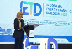 PLTS 100 GW Jadi ‘Kuda Hitam’  Transisi Energi Indonesia 2045