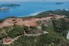 Dampak Tambang PT Gag Nikel di Raja Ampat Dinilai Ringan, Tapi Tetap Harus Pulih