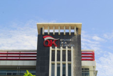 OJK Pertimbangkan Langkah  Hukum Dana Macet PT DSI