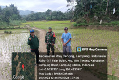 Aparat Tentukan Titik Koordinat  Lahan Pertanian Sawah Warga