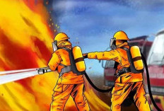 Evakuasi Ular dan Tawon Dominasi Tugas Tim Penyelamatan Damkar 