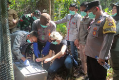 BERASAL DARI SITAAN DAN TRANSLOKASI, 28 Satwa Dilepasliarkan di Kawasan TNBBS