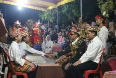 Kakiceran Salah Satu Tradisi Warisan di Kabupaten Pesisir Barat