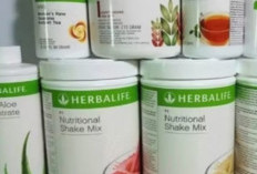 Penasaran..!  Inilah Beberapa Manfaat Teh Herbalife Yang Jarang Diketahui 