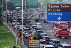 Ingin Terhindar Kemacetan? Berikut ini Jalur Alternatif Menuju Puncak Bogor Saat Libur Nataru