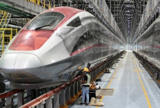 Petinggi Danantara Ungkap 2 Opsi  Bereskan Utang Proyek Kereta Cepat
