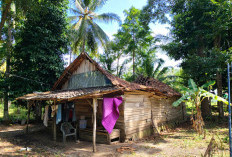 Warga Terdampak Angin Kencang  Harapkan Perhatian Pemerintah