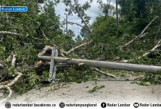 Pohon Tumbang di Jalur Sukabumi-Suoh Timpa Sepeda Motor dan Tiang Listrik, Lalu Lintas Lumpuh Total