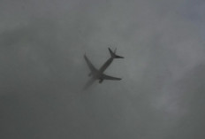 Wakil Kepala Menteri Wilayah di India Tewas Imbas Pesawat Dinas Jatuh