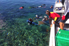 BRIN Kembangkan Teknologi Satelit untuk Dukung Konservasi Laut Berbasis Masyarakat