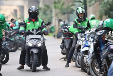 BHR Belum Optimal, Pemerintah Minta Maaf ke Ojol 