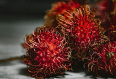 Rambutan adalah buah tropis yang banyak digemari di Indonesia. Mengandung berbagai nutrisi penting seperti vit