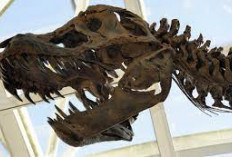 Inovasi Fesyen: Kulit T-Rex Buatan Lab Hadir Sebagai Alternatif Ramah Lingkungan
