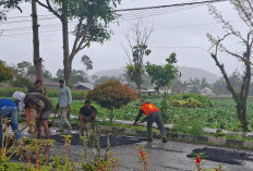 Aspal Dihampar Saat Hujan, Kualitas Proyek Perbaikan Jalan Radin Intan Diragukan  