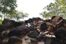 Menyusuri Bukit Batu,  Wisata Mistis di Jantung  Hutan Kalimantan