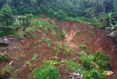 Longsor Cisarua, Rajiv Desak Investigasi Dugaan Alih Fungsi Lahan