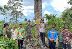 Ancaman Harimau di Lemong, Warga Diimbau Waspada