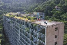 Hotel Megah di Hutan Brazil, Terbengkalai Selama 7 Dekade