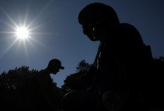 Ilmuwan Prediksi Suhu Bumi akan Meningkat Hingga 1,4 Derajat Celsius pada 2026 