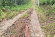 Tidak Semua Badan   Jalan Terpasang Batu, Pembukaan Jalan Ruas Pekon Bambang-Malaya