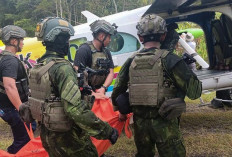 Dalam Sepekan, Dua Pimpinan KKB Tewas di Papua 