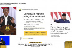 Pemerintah Prioritaskan Energi Terbarukan dan Sistem Penyimpanan