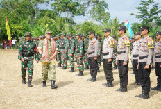 TMMD Ke-124 Resmi Dibuka, Bupati Pesbar Ajak Masyarakat Bangun Pekon Bersama