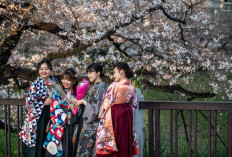 Tiga Akar Leluhur yang Membentuk Identitas Genetik Bangsa Jepang