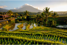 Sistem Irigasi di Bali Jadi Daya Tarik Wisata