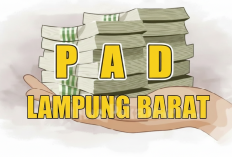 Lampung Barat Terancam  Masuk Zona Krisis Fiskal