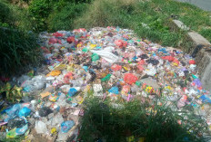 Tumpukan Sampah di Jantung Pekon   Kota Besi Terkesan Diacuhkan 
