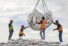 ID Food Harapkan Suntikan Dana dari BPI Danantara 