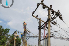 Jaringan Tertimpa Menara Komunikasi, Listrik Wilayah Balikbukit Padam Selama Enam Jam 