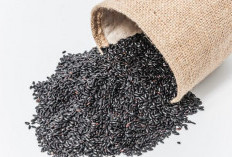 9 Khasiat Ketan Hitam untuk Kesehatan