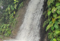 Air Terjun Way Melesom yang Adem dan Alami  Kerap Dijadikan Spot Berswafoto