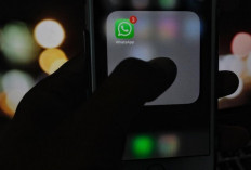  Ingin WhatsApp Tetap Centang Satu Meski Online? Begini Caranya