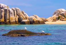 Menjelajah Pesona Belitung, Surga Geopark yang Tawarkan  Pengalaman Hopping Islands