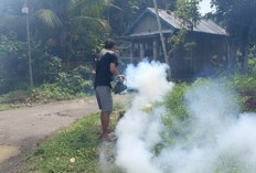 Pajar Bulan Intensif Lakukan  Fogging untuk Cegah DBD