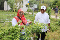 Samsudin Ajak Masyarakat Ramaikan Wisata Edukasi Kebun PKK Agropark Lampung