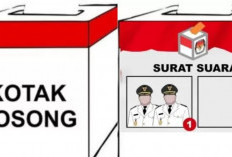 Jika Kotak Kosong Menang di Pilkada, Pemerintah Tunjuk Pj Hingga Terpilih Kepala Daerah Definitif