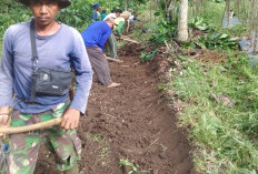 Padat Karya Tunai Desa, Pagardewa Buka Badan Jalan Sepanjang 500 Meter 