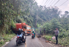 Tak Kuat Menanjak, Truk Fuso Bermuatan Pupuk Terperosok