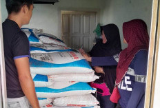 DKPP Tetapkan Alokasi  Pupuk Bersubsidi 2026