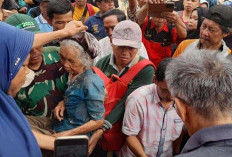3 Hari Dilaporkan Hilang, Nenek Usia 90 Tahun Ditemukan Selamat 
