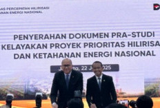Danantara Evaluasi 18 Proyek Hilirisasi Bernilai Rp 618 Triliun, Pendanaan Terbuka untuk BUMN hingga Swasta
